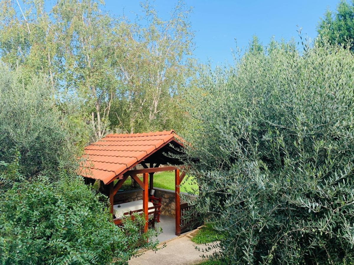 Teo Apartment Podgorica Luaran gambar